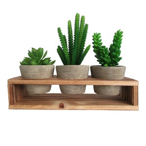 Rustic Style Artificial Succulent Plants Decorative Faux Fake Cactus Cacti Succulents with Pot Removable Wood Display Stand Indoor Office Home Décor - 1 of 4