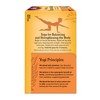 Yogi Tea - Honey Chai Turmeric Vitality Tea - 16ct - image 3 of 4