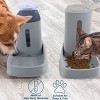 PETMAKER 2PK 3.8L/1G Automatic Pet Feeders, Gray - 4 of 4