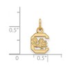 Black Bow Jewelry 10k Yellow Gold South Carolina Gamecocks NCAA Extra Small Pendant - 2 of 3