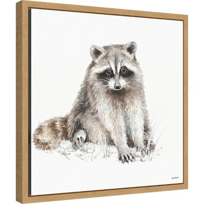 Lisa Audit Framed Raccoon Canvas Wall Art Print 16" x 16"