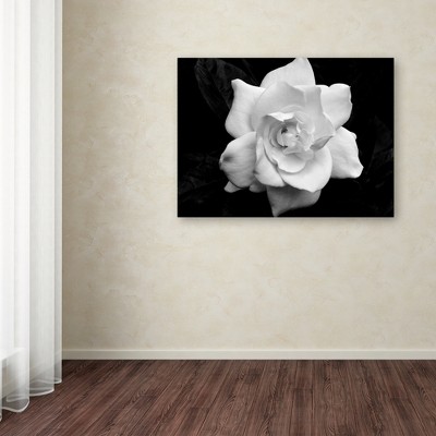 Large Black and White Framed Canvas Floral Art