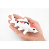 Collectible Wildlife Gifts | Fish, Koi, Amur Carp, Asian, Japanese Koii, Museum Quality, Hand Painted, Rubber Fish,  Toy , Gift,  6"   CH387 BB144 - 2 of 4