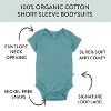Honest Baby 10-Pack Organic Cotton Short Sleeve Bodysuits - 3 of 4