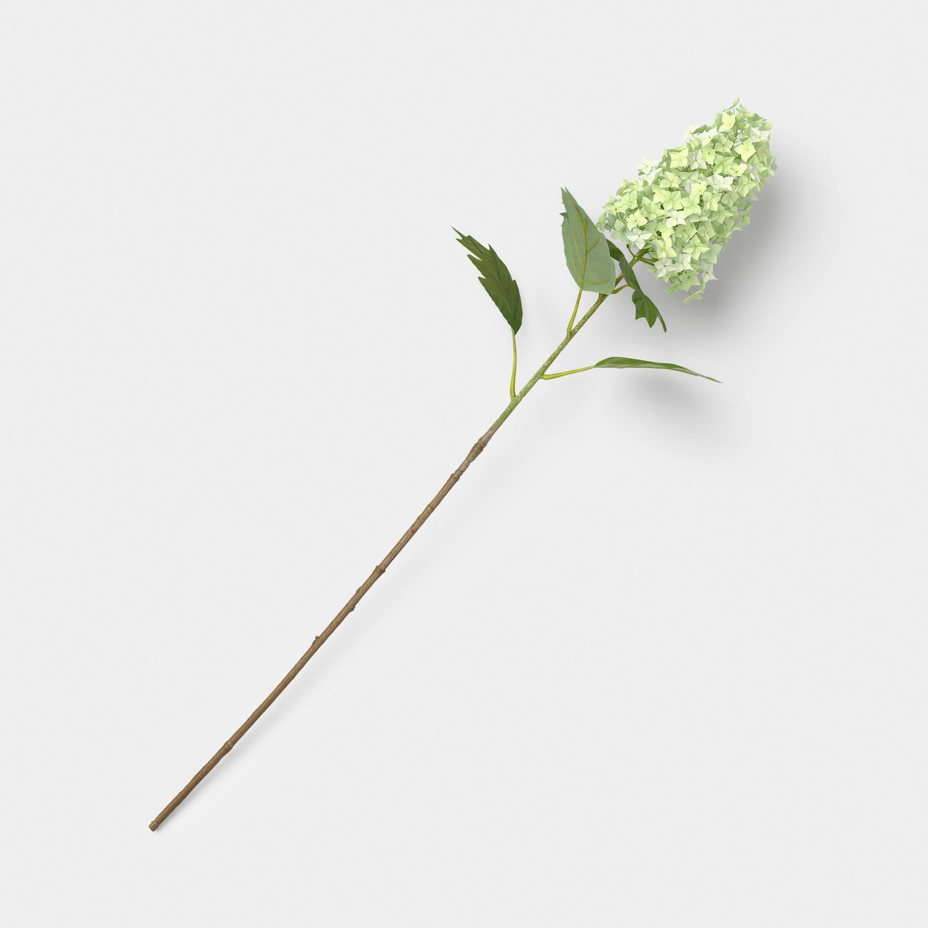 Green Hydrangea Branch - Threshold™