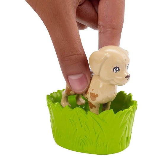 play n wash pets barbie