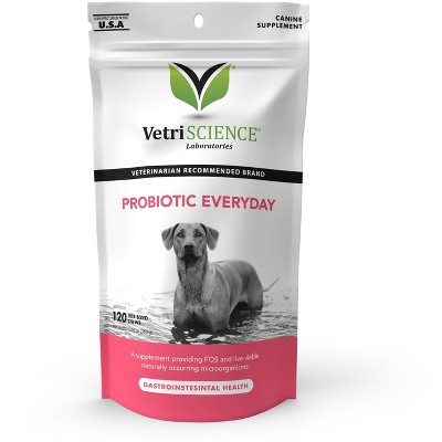 5 Reasons Why Probiotic Chews for Dogs Are a Game-Changer for Gut