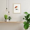 Amanti Art Hand Drawn Rufous Milkcap Mushroom by Biodiversity Heritage Library Wood Framed Wall Art - 4 of 4