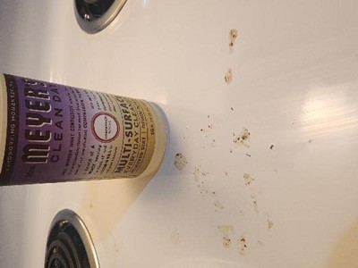 Mrs. Meyer's Clean Day Compassion Flower Multi-surface Spray - 16 Fl Oz ...