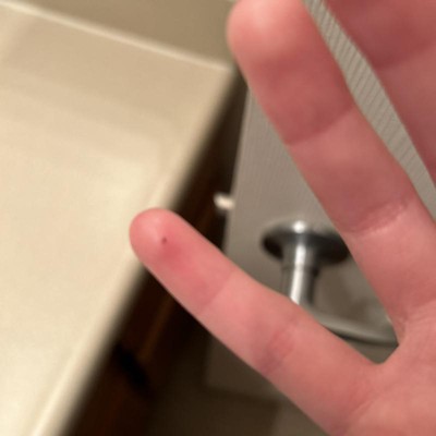 Guest review image 1 of 1, zoom in