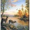 Laural Home Deer on Sunset Lake Shower Curtain - 2 of 2
