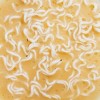 Mike's Mighty Good Chicken Ramen Noodle Soup Cup - 1.7oz - 3 of 4