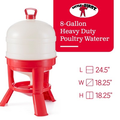 Heavy Duty Red and White 8 Gallon Poultry Waterer with Gravity-Fed Design