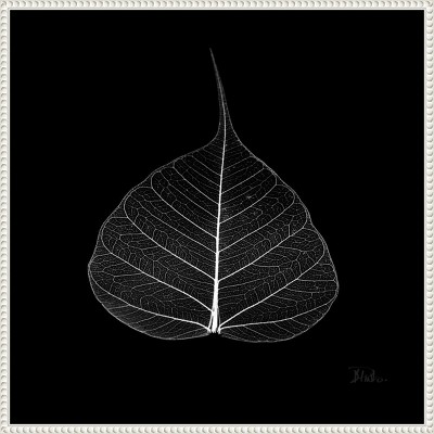 Amanti Art Minimalist Leaf on Black I by Patricia Pinto Canvas Wall Art Print Framed 22 x 22-in.