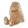 Manhattan Toy Willow the Coffee & Beige Snuggle Bunnies 12" Stuffed Animal with Embroidered Accents - 2 of 4