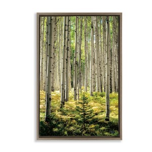Stupell Industries Small And Tall Birch Forest Floating Frame Canvas Art - 1 of 4