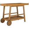 Renzo Indoor/Outdoor Bar Cart  - Safavieh - 4 of 4