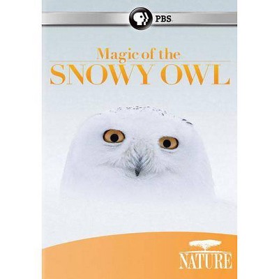 Nature: Magic of the Snowy Owl (DVD)(2012)