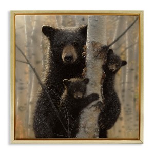 Stupell Industries Forest Black Bear and Cubs Floating Frame Canvas Art, Gold, 18" x 18" - 1 of 4