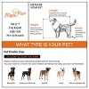 Large Heavy Duty Dog Stroller Folding Pet Stroller 4-Wheel Pet Travel Carrier Double Door Pet Trolley Skylight Cart with Rainproof Cover - 3 of 4
