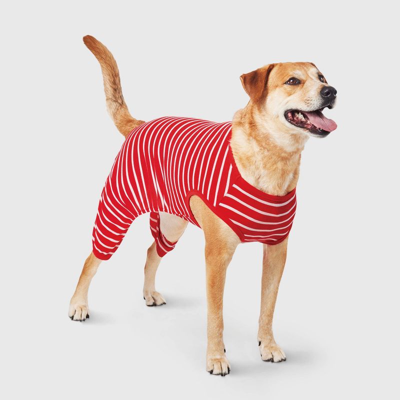 Striped Matching Family Thermal Dog Pajamas - Wondershop&#8482; - White/Red - M, 1 of 4