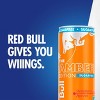 Red Bull Sugar Free Amber Edition Energy Drink - 8.4 fl oz Can - image 4 of 4