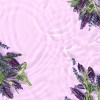Love Beauty and Planet Argan Oil & Lavender Smooth & Serene Conditioner - 13.5 fl oz - image 4 of 4