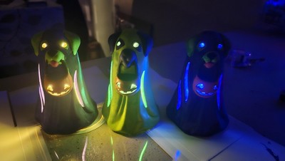 Guest review image 1 of 1, zoom in