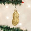 Old World Christmas Blown Glass Ornament for Christmas Tree, Peanut - 2 of 3
