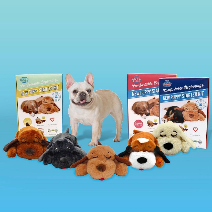 Snuggle Puppy Pet Collection