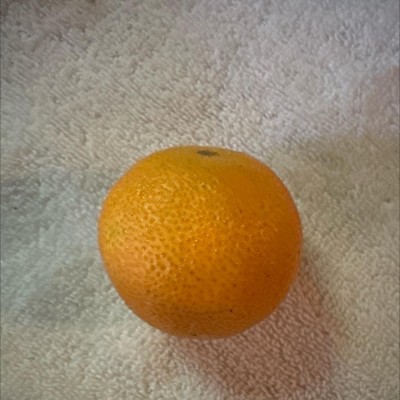 Guest review image 1 of 2, zoom in