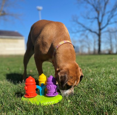 Awoo Silicone Smoosh Lick Mat Treat Dog Toy Dispenser - Mauve