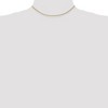 Black Bow Jewelry 1.75mm, 14k Yellow Gold Solid Diamond Cut Rope Chain Necklace - 2 of 4