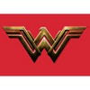 Men's Zack Snyder Justice League Wonder Woman Logo Pull Over Hoodie - 2 of 4