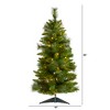 Nearly Natural 3-ft New Haven Pine Artificial Christmas Tree with 50 Warm White LED Lights and 93 Bendable Branches - 2 of 4