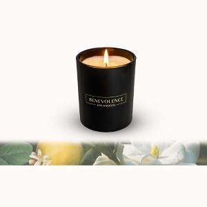 Benevolence LA Premium All Natural Soy Candles In Matte Black Glass Jar - 1 of 4