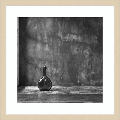 19" x 19" 14 by Luiz Laercio Framed Wall Art Print - Amanti Art