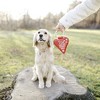 Pavilion Gift Company - Service Dog - 6" x 9.5" Canvas Dog Toy on Rope - Pet Toy - 2 of 4
