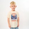 The Juniper Shop America Summer Of Liberty Distressed Youth Short Sleeve Tee - 3 of 4