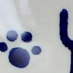 puppy paws