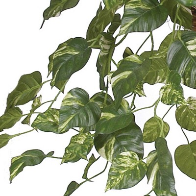 Lifelike Pothos Hanging Basket with Silk Leaves