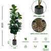 5 ft Artificial Fiddle Leaf Fig Tree with Planter Pot, Decorative Fake Plant with Realistic Trunks & Leaves, Artificial Greenery for Living Room - 3 of 4