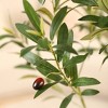 Kazeila UV Resistant 6-7FT Artificial Pre Potted Olive Tree with Brown Tall Planter for Indoor Outdoor Office House Decor - 3 of 4