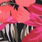 black red tropical