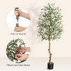 Faux Olive Tree - Fake Potted Olive Silk Tree Indoor with Moss Natural Olive Branches and Realistic Leaves - 3 of 4