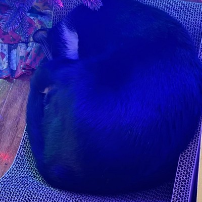 Guest review image 2 of 2, zoom in