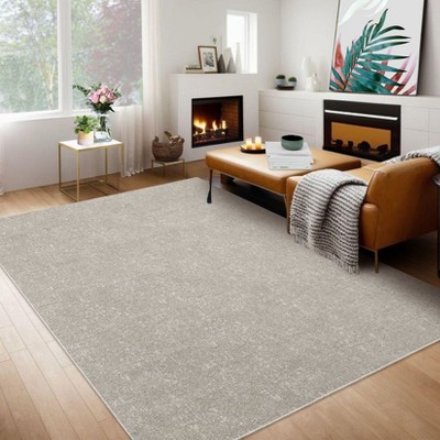 GAOMON Washable Area Rug Modern Solid Area Rug Non Slip Rug Low Pile Rugs Soft Foldable Indoor Carpet for Living Room Bedroom