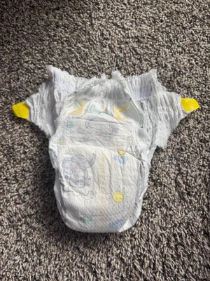 Guest review image 3 of 4, zoom in