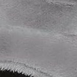 grey-scratching tree