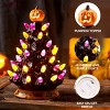 Joyfy 8.5'' Tall Halloween Tabletop Tree Decoration, Pumpkin Gnome Ceramic Tree with Built-in LEDs for Halloween Party Supplies Indoor Decorations - 2 of 4